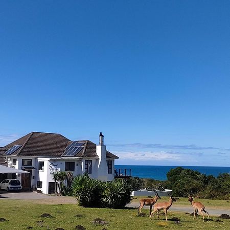 Cove View B&B Източен Лондон Екстериор снимка