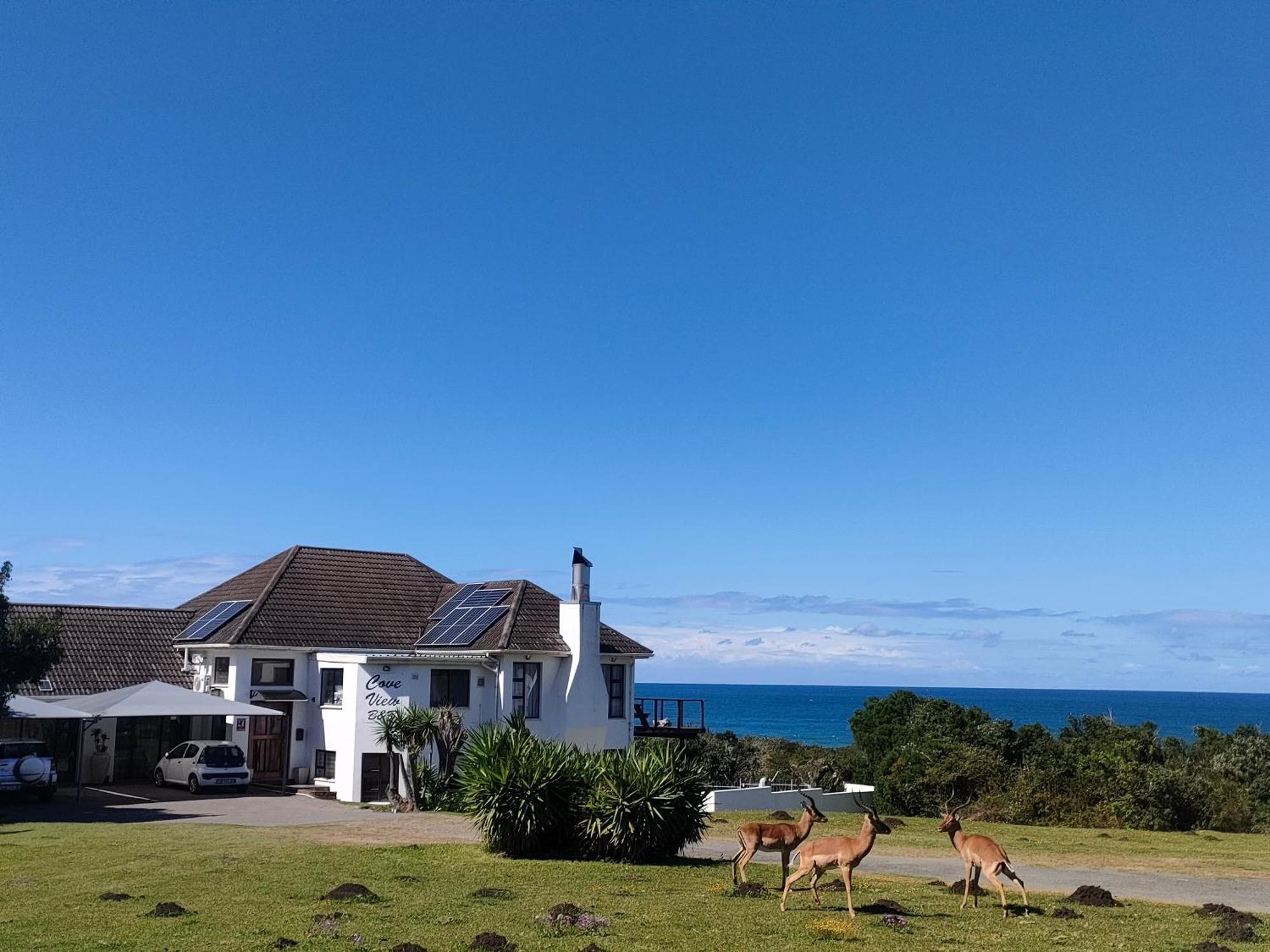 Cove View B&B Източен Лондон Екстериор снимка